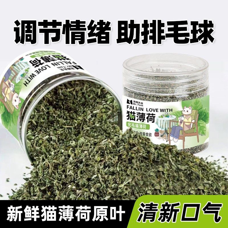 猫薄荷罐装自嗨解闷去毛球天然可食用猫粮超强薄荷草干草薄荷球,宠物/宠物食品及用品,猫薄荷/木天蓼,淘宝优惠券,粉丝福利购,淘宝优惠卷