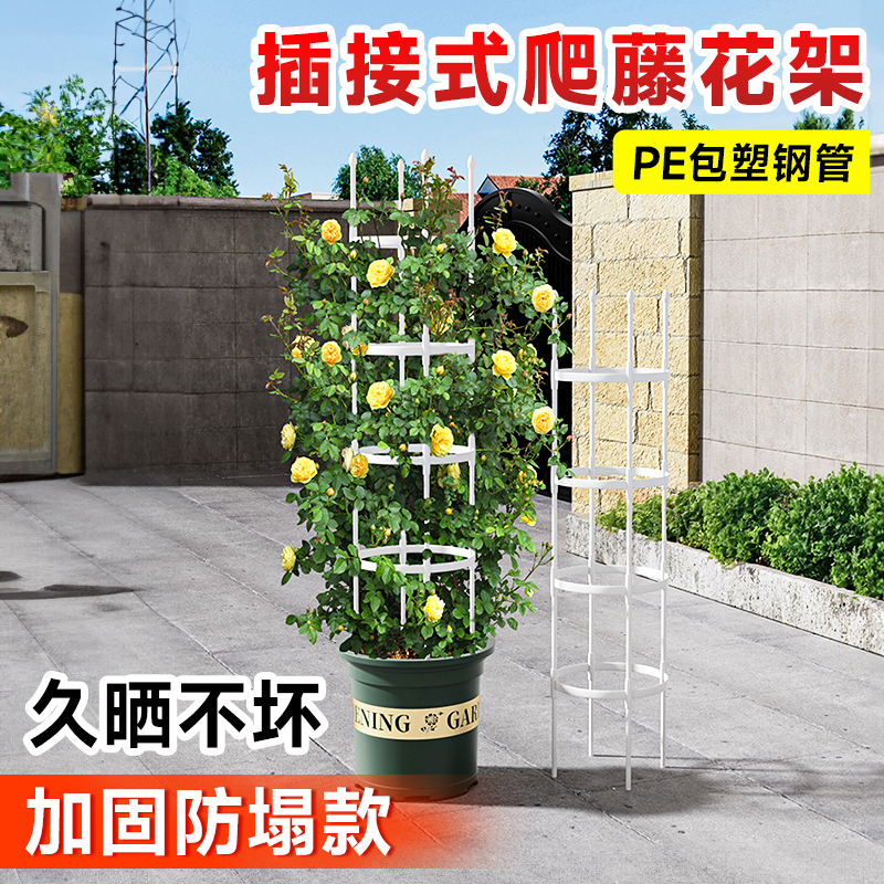 园艺藤本花架爬藤架园艺藤本月季支撑架玫瑰盆栽支架支柱庭院室外
