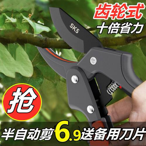 齿轮省力半自动园艺剪子枝果树粗枝修枝剪剪