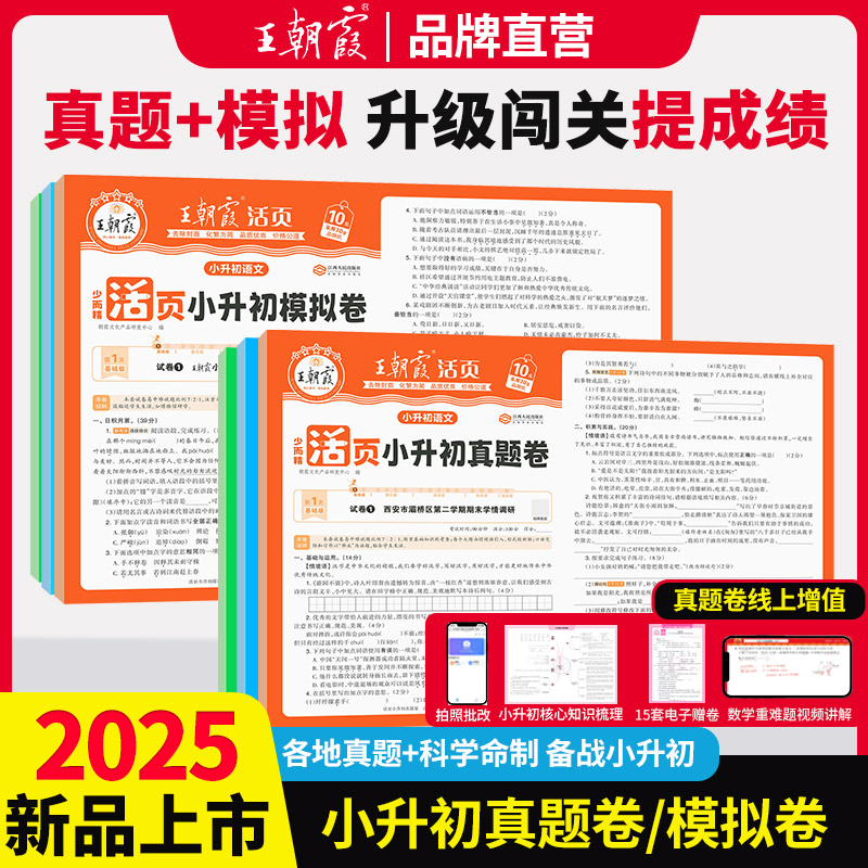 2025王朝霞小升初活页真题卷模拟卷语文数学英语考前突破毕业总复习各地真题试卷综合能力验收小专项总复习6六年级