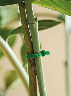 绿色尼龙扎带3x150长15cm-40cm塑料锁扣捆扎封口自锁式园艺绑扎带