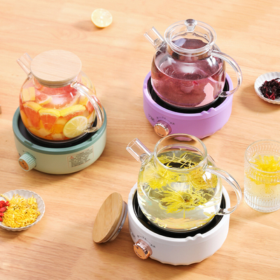 养生壶家用多功能小型mini玻璃煮茶器炉老白茶黑茶专用煮茶壶 1人