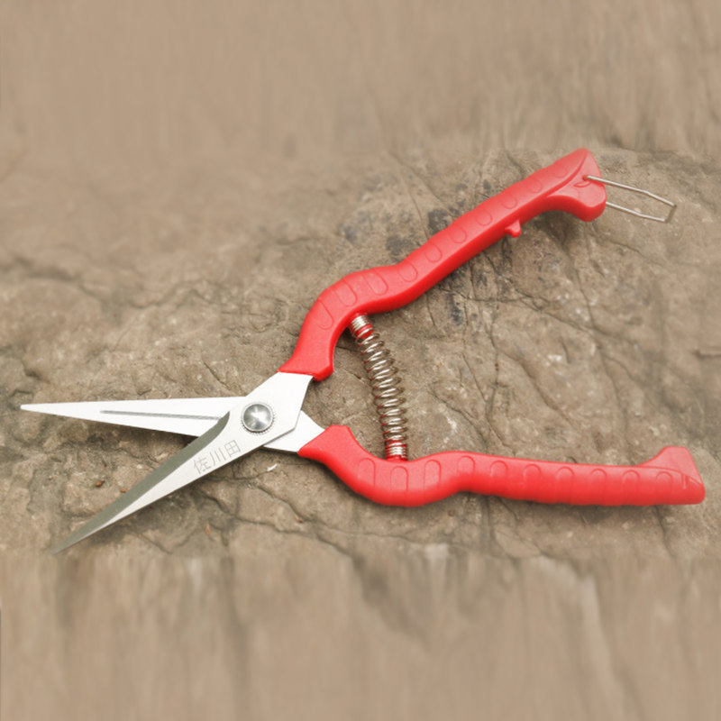 多功能不锈钢园林修枝剪刀盆景修花采果剪稀果疏花剪园艺树枝剪子,鲜花速递/花卉仿真/绿植园艺,剪刀,淘宝优惠券,粉丝福利购,淘宝优惠卷