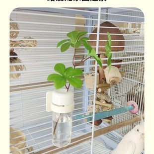 优嗖鹦鹉谷穗夹卡扣玩具磨牙棒固定花瓶多功能蔬菜水果夹鸟笼配件