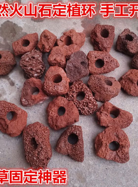 天然红色火山石水草定植环水草底座鱼缸水草固定种植神器无土栽培