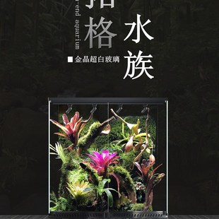 定制拓格超白雨林缸热带生态造景缸爬宠饲养箱双开门桌面雨林缸