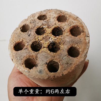 煤渣多肉蜂窝煤球渣整球颗粒兰花土营养土炉渣块透水透气花盆垫底