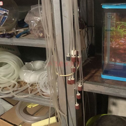 冲氧气泵鱼缸增氧泵超静音小型家用充氧打氧增氧机水族养鱼增氧机