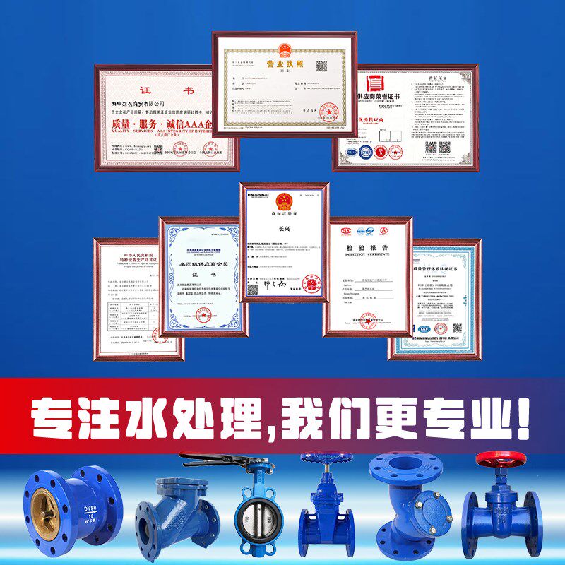 插管底阀止回阀单向阀碳钢水泵抽水吸水阀升降式花篮头莲蓬头底阀