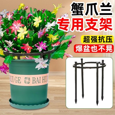 蟹爪兰专用支架花支撑杆绿植物防倒伏固定架小花卉盆栽园艺花架子