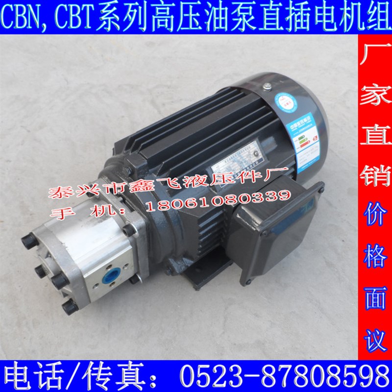 CBJE306齿轮油泵CBTF306液压CBNG306 FEL2 FER2高压齿轮泵AFBR