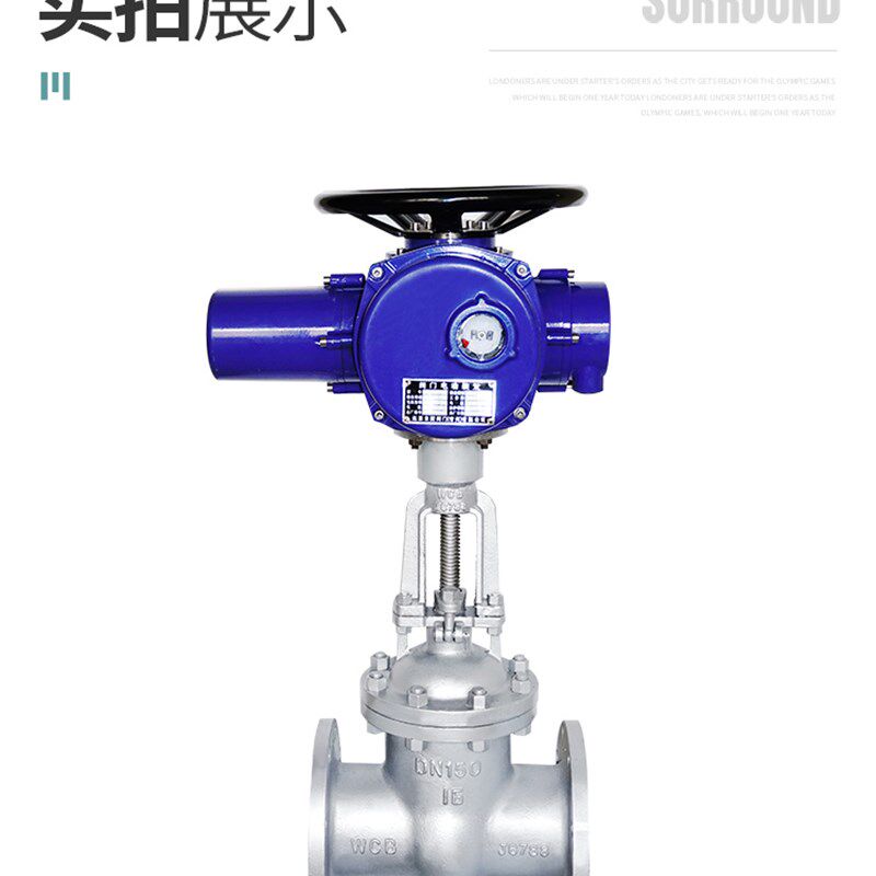 Z941H-16C 电动铸钢闸阀多回转调节流量闸阀水闸阀DN65 80 100