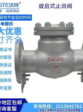 铸钢法兰止回阀 逆止阀单向阀 旋启式H44H H41H 16C25C40C64C100C