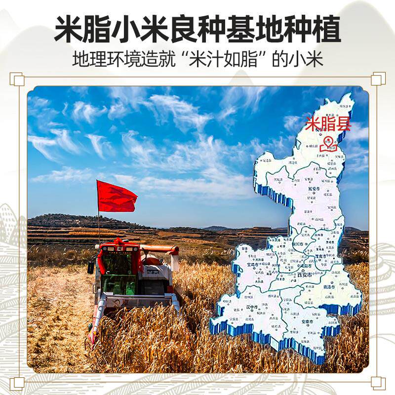 陕北正宗5斤黄小米新米小