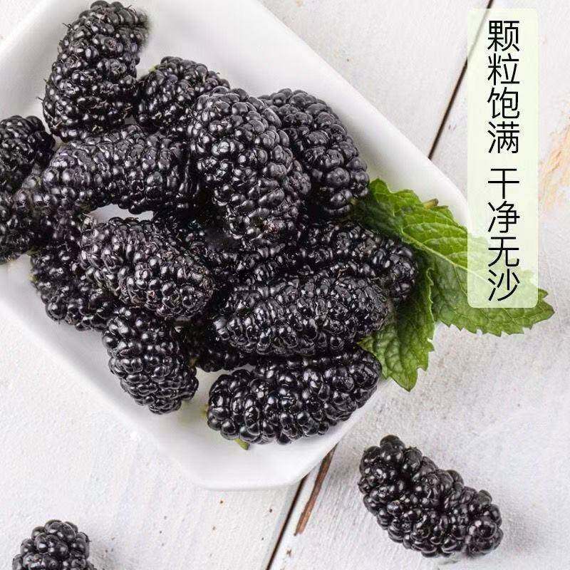 正宗桑葚干500g黑桑椹优选泡茶泡水喝即食新货桑甚干黑桑葚干茶子