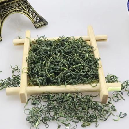正宗日照足绿茶2025新茶春茶云雾茶山东炒青高山茶叶散装袋装500g