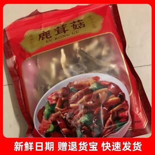 新货新日期珊初物鹿茸菇干货鹿茸菌非特级野生脆脆菇干煲汤50