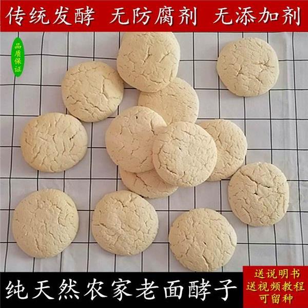 正宗老面酵子引子酵母干酵头传统面肥面种曲头发粉做馒头包孝食用