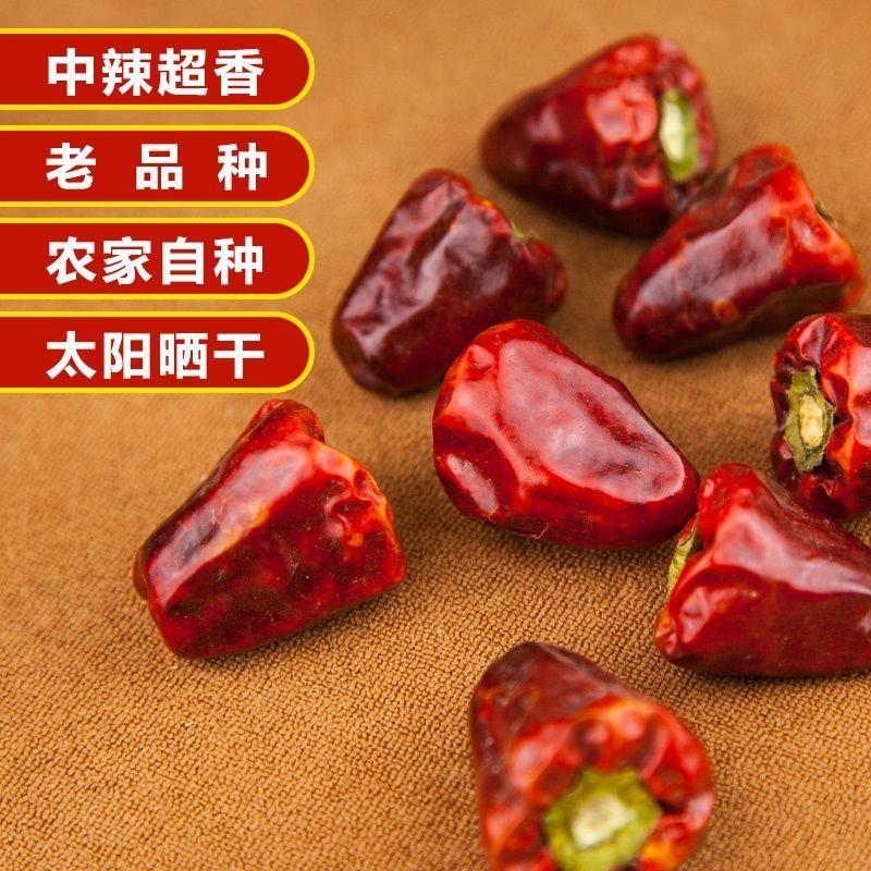 新货中辣特香灯笼辣椒干