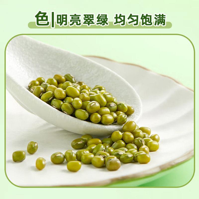 正宗十月稻田绿豆1kg 饱满易煮开 花出沙绿豆汤绿豆糕 可发芽 五