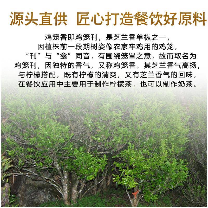 正宗鸡笼香单枞奶茶店专用凤凰单丛茶叶挞古韵芝兰花香暴打手柠檬