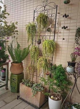 阳台落ZYS地底座式屏风架室内庭院坡铁线莲式窗帘爬凉棚园欧艺花