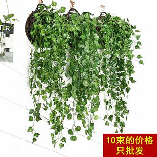 仿真绿KWQ萝海棠地瓜厅挂墙绿壁挂植物装饰垂客挂吊假花藤条吊兰