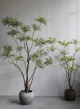 高端彷真绿色植物物叶十大型功劳铺下珠HUN客厅盆栽店橱窗落地禅