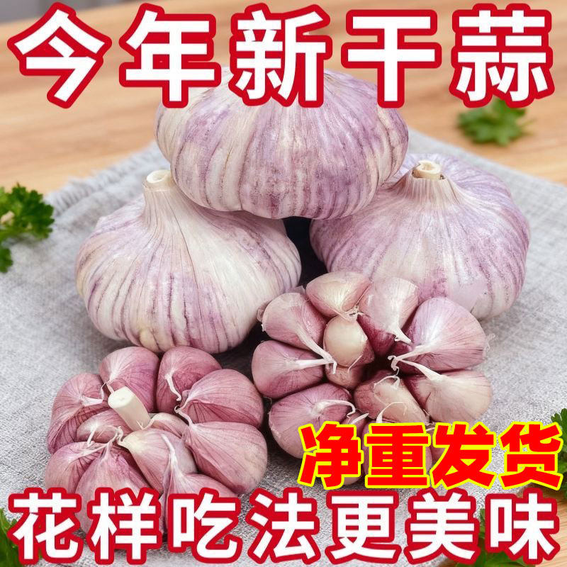 今年新大蒜头批发干蒜5斤2斤农家自种子紫白皮山东金乡新鲜蔬菜