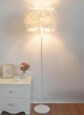 网红ns水晶羽毛白色i落地灯庆婚厅书L083房卧室床头台灯主客播补