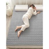 5995罗兰四家纺水子双人可洗季 床垫软垫家用卧室保护垫防滑床褥垫