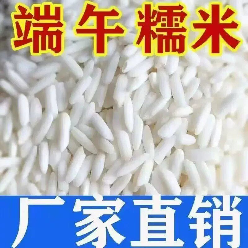 东北长粒白糯米新货粽子酿酒