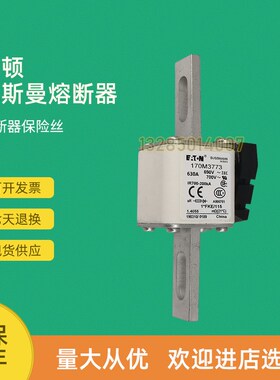 全新快速熔断器保险170M3716 170M3717 170M3718 170M3719