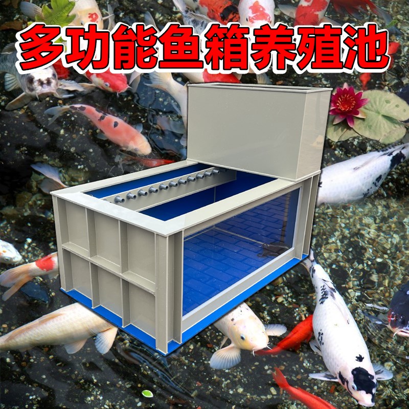 大型超白玻璃观赏锦鲤鱼池巨舌骨鱼缸耐撞加厚大缸轻体pp塑料鱼箱