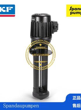 德国福鸟Spandau Pumpen亮光漆泵油墨泵液体旋流器PRT 4B