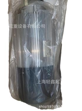 科尼 起升电机 MF13XA10GN175P85018N 52299289 23KW