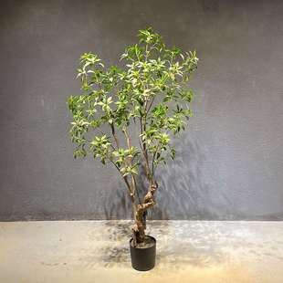 仿真绿植马醉木 仿真植物摆件室内装饰假树落地盆栽带盆绿植 造景