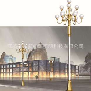 户外市政照明工程中华灯景区公园主干道道路照明LED景观灯玉兰灯