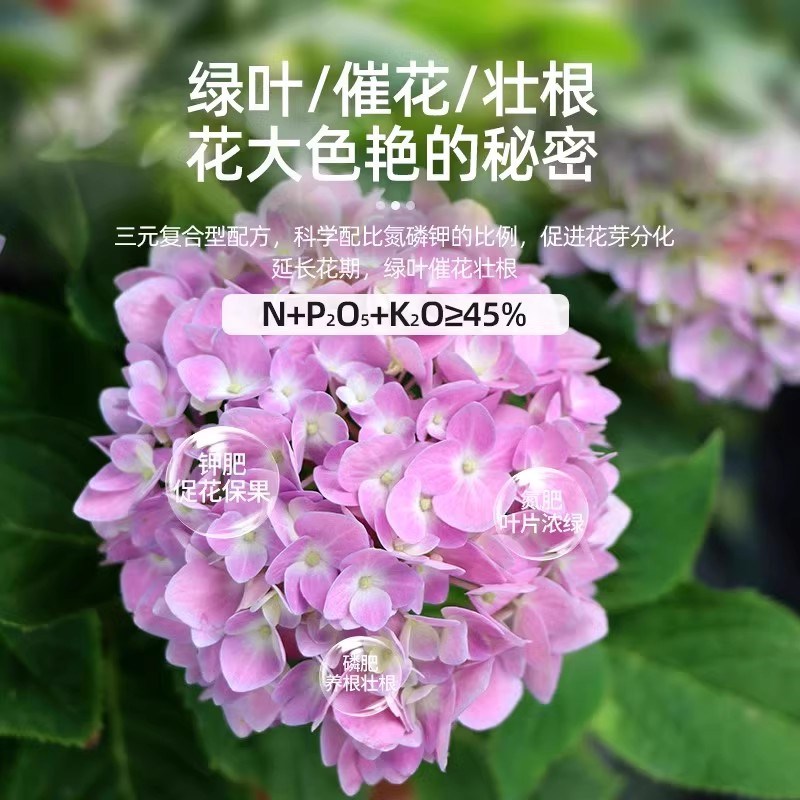 磷酸二氢钾肥料花卉专用复合肥有机肥绿植果树家用蔬菜农用花肥料