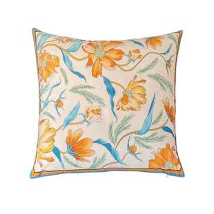 家居装饰客厅卧室沙发靠背办公室靠垫双面印花天鹅绒面料抱枕套