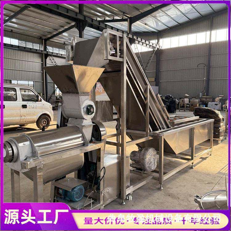 大型工业刺梨榨汁机苹果梨汁加工生产线桑葚荔枝葡萄螺旋压汁机