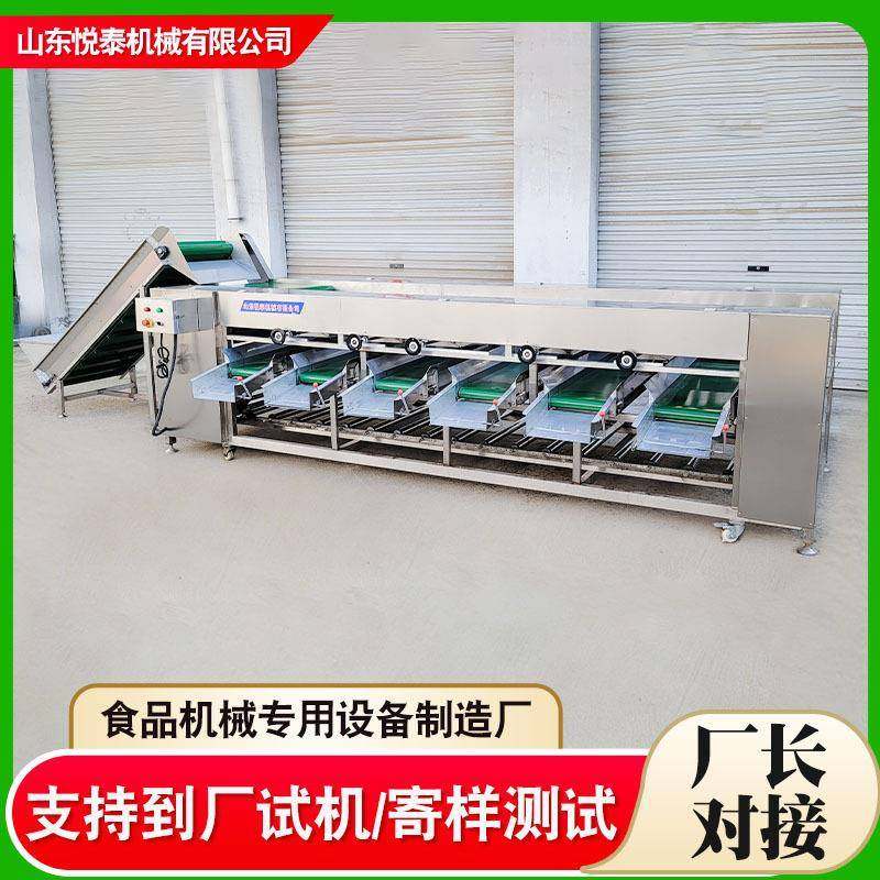 大型芒果柚子分选机 工业马铃薯分级筛选机 商用金桔滚杠式筛选机,清洗/食品/商业设备,肉制品加工设备,淘宝优惠券,粉丝福利购,淘宝优惠卷