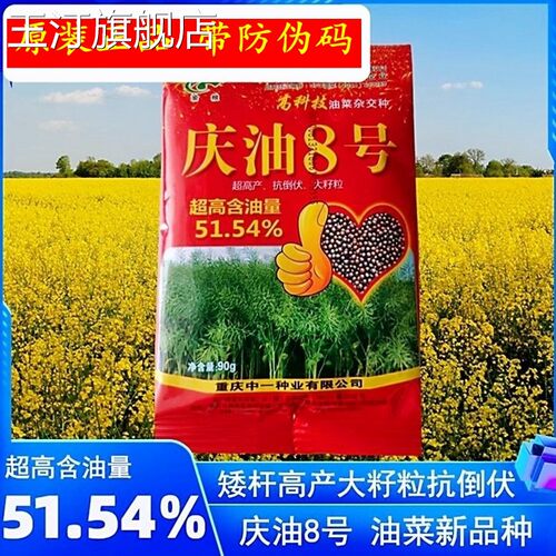 庆油8号油菜籽榨油用高产油菜种庆油3号抗倒伏小油菜籽油菜花种子
