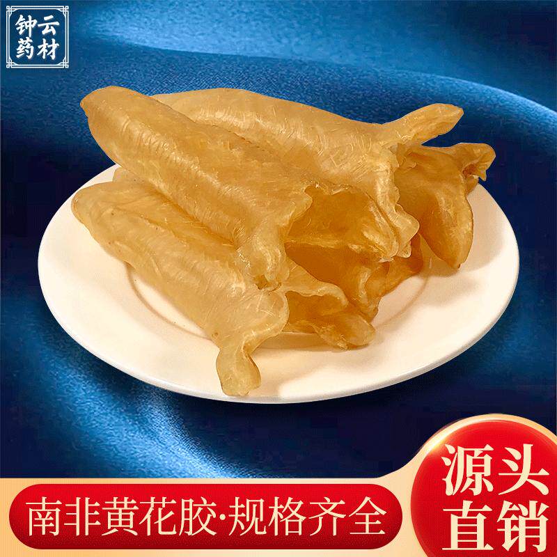 南非黄花胶筒海味干货鳕鱼胶湛江赤嘴鱼胶北海公肚血鳘鱼胶