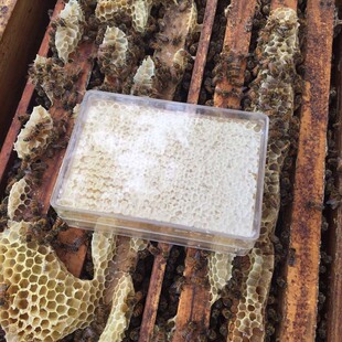 蜂巢蜜250g盒装 成熟封盖蜜原蜂蜜 蜂巢蜜农家土特产