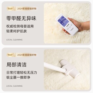 毛绒地毯卧室客厅新款女孩床边毯房间加厚地垫毛毯垫子洗