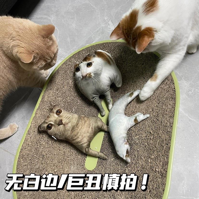 丑猫抱枕来图定制无描边diy宠物猫咪枕头仿真礼物靠枕可印照片3d