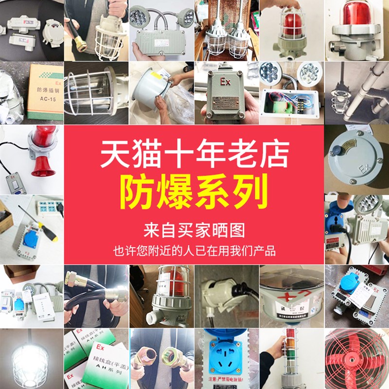 防爆开关户外室内墙壁开关86型五孔插座 220/380V电源工业插座10A