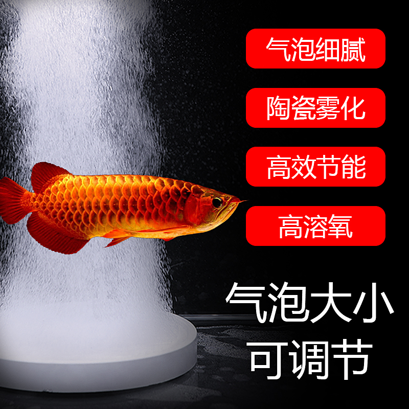 纳米气盘雾化静音爆氧气盘长条气泡石鱼缸充氧气泡石增氧泵沙头