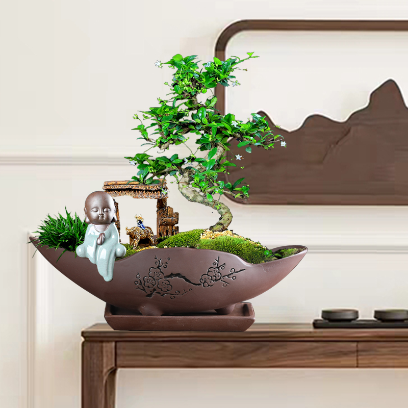 紫砂花盆陶瓷多肉花盆菖蒲个性创意组合摆件小盆景文竹古典盆特价